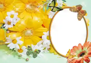 Photo effect from category Women's photo frames № 55529