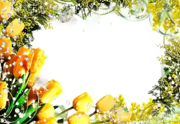 Photo effect from category Women's photo frames № 5582