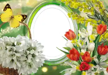 Photo effect from category Women's photo frames № 56529