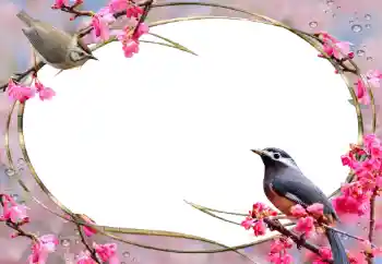 Photo effect from category Women's photo frames № 56627