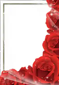 Photo effect from category Women's photo frames № 57683