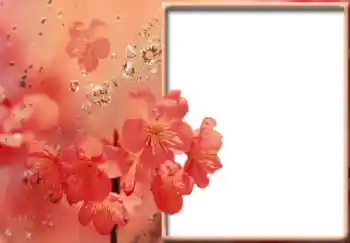 Photo effect from category Women's photo frames № 57711