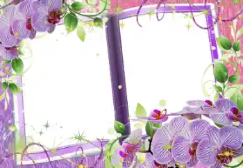 Photo effect from category Women's photo frames № 58759