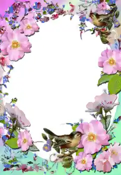 Photo effect from category Women's photo frames № 58779