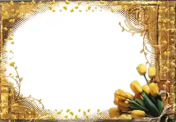 Photo effect from category Women's photo frames № 60398