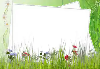 Photo effect from category Women's photo frames № 62627