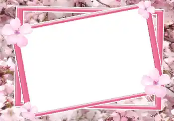 Photo effect from category Women's photo frames № 64115