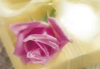 Photo effect from category Women's photo frames № 64263