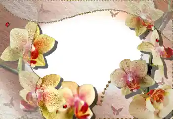 Photo effect from category Women's photo frames № 64386