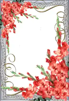 Photo effect from category Women's photo frames № 64491