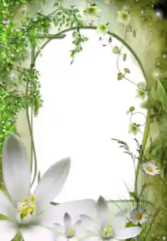 Photo effect from category Women's photo frames № 64492