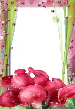 Photo effect from category Women's photo frames № 67316