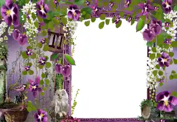 Photo effect from category Women's photo frames № 68582