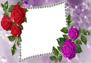 Photo effect from category Women's photo frames № 68618