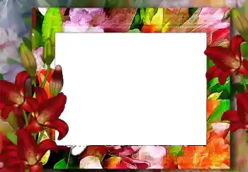 Photo effect from category Women's photo frames № 68619