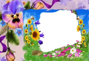 Photo effect from category Women's photo frames № 68630