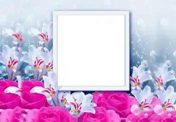 Photo effect from category Women's photo frames № 68646