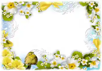 Photo effect from category Women's photo frames № 68720