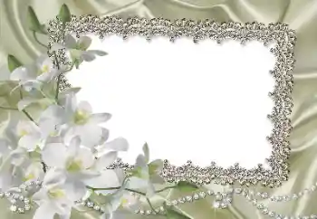 Photo effect from category Women's photo frames № 69861