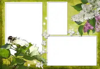 Photo effect from category Women's photo frames № 70903