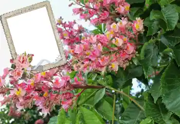 Photo effect from category Women's photo frames № 72109