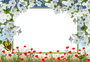 Photo effect from category Women's photo frames № 72133