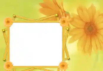 Photo effect from category Women's photo frames № 76821 Photo effect from category Women's photo frames № 76821