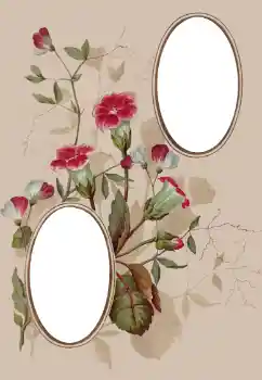 Photo effect from category Women's photo frames № 78920 Photo effect from category Women's photo frames № 78920