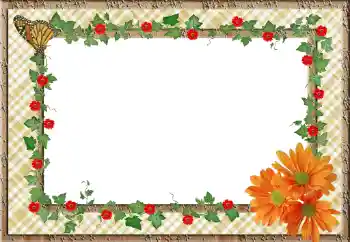 Photo effect from category Women's photo frames № 78981 Photo effect from category Women's photo frames № 78981