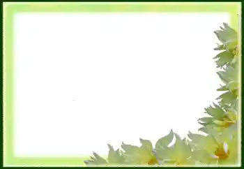 Photo effect from category Women's photo frames № 79029