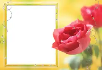Photo effect from category Women's photo frames № 80125