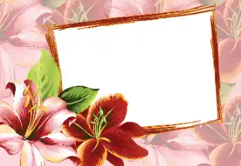 Photo effect from category Women's photo frames № 80320