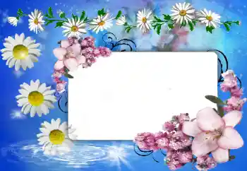 Photo effect from category Women's photo frames № 80388