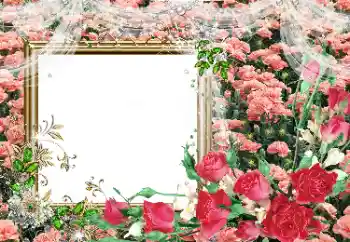 Photo effect from category Women's photo frames № 80390