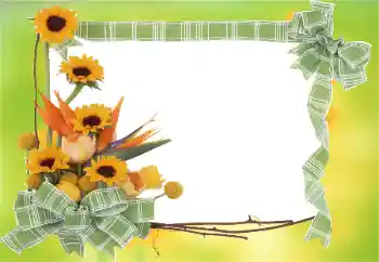 Photo effect from category Women's photo frames № 81823