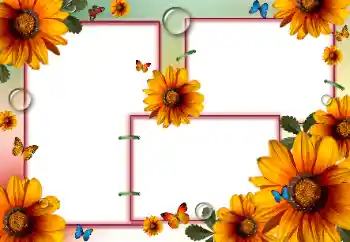 Photo effect from category Women's photo frames № 84175