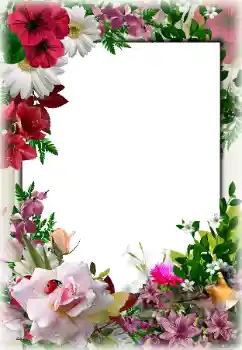 Photo effect from category Women's photo frames № 85267