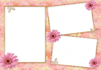Photo effect from category Women's photo frames № 85418