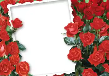 Photo effect from category Women's photo frames № 87751