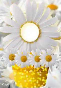 Photo effect from category Women's photo frames № 91798 Photo effect from category Women's photo frames № 91798