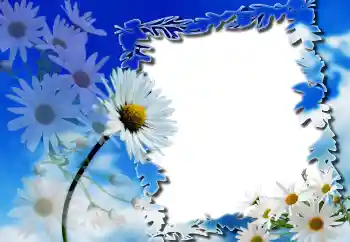 Photo effect from category Women's photo frames № 91804 Photo effect from category Women's photo frames № 91804