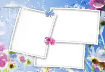 Photo effect from category Women's photo frames № 91837 Photo effect from category Women's photo frames № 91837