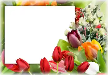 Photo effect from category Women's photo frames № 94794 Photo effect from category Women's photo frames № 94794