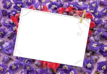 Photo effect from category Women's photo frames № 9481