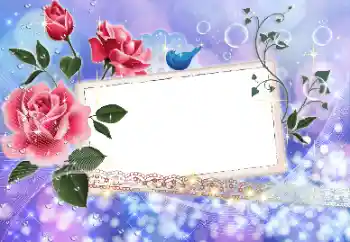 Photo effect from category Women's photo frames № 9524