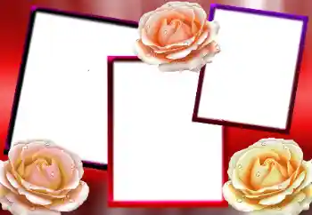 Photo effect from category Women's photo frames № 9712