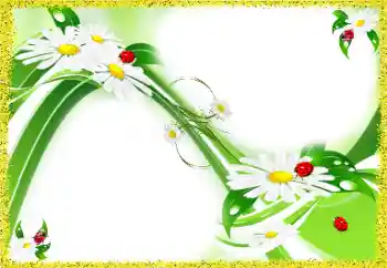 Photo effect from category Women's photo frames № 97688 Photo effect from category Women's photo frames № 97688