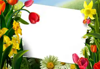 Photo effect from category Women's photo frames № 9867