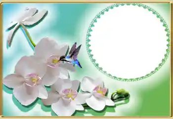 Photo effect from category Women's photo frames № 99814 Photo effect from category Women's photo frames № 99814