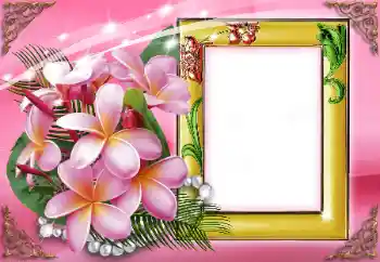 Photo effect from category Women's photo frames № 99835 Photo effect from category Women's photo frames № 99835